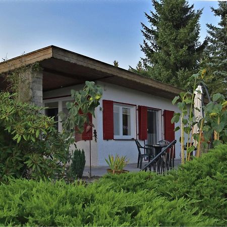 Cozy Holiday Home In G Ntersberge With Garden Güntersberge المظهر الخارجي الصورة